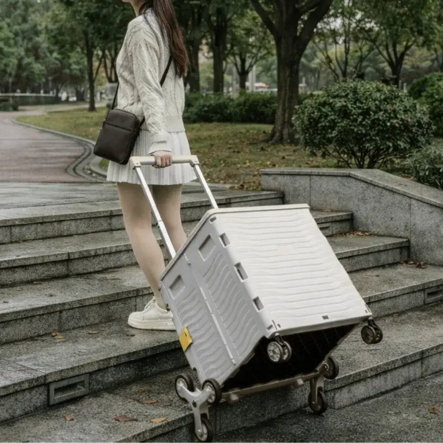 What is the Best Shopping Trolley to Buy?